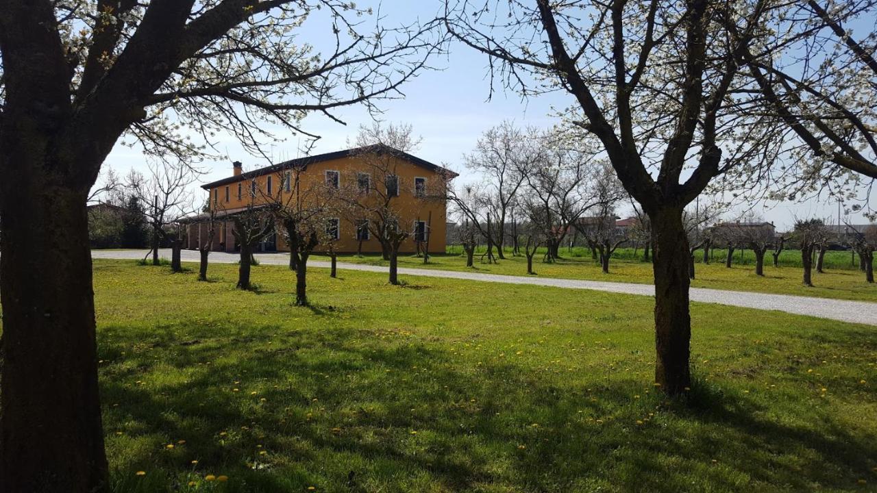 Agriturismo Borgo Borromeo Rubano Bagian luar foto